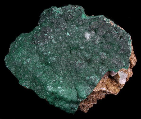 Dark Green Chrysocolla Crystals - Zaire #35644